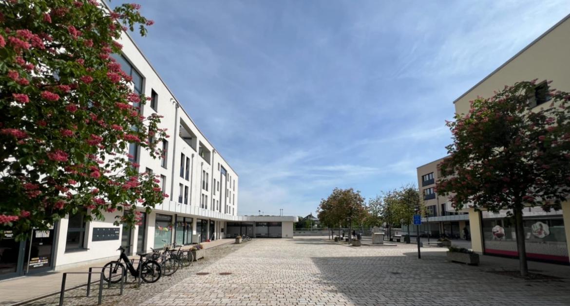 Palmen Direkt In Apartment